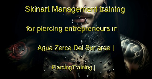 Skinart Management training for piercing entrepreneurs in Agua Zarca Del Sur area | PiercingTraining | PiercingClasses | SkinartTraining-Mexico